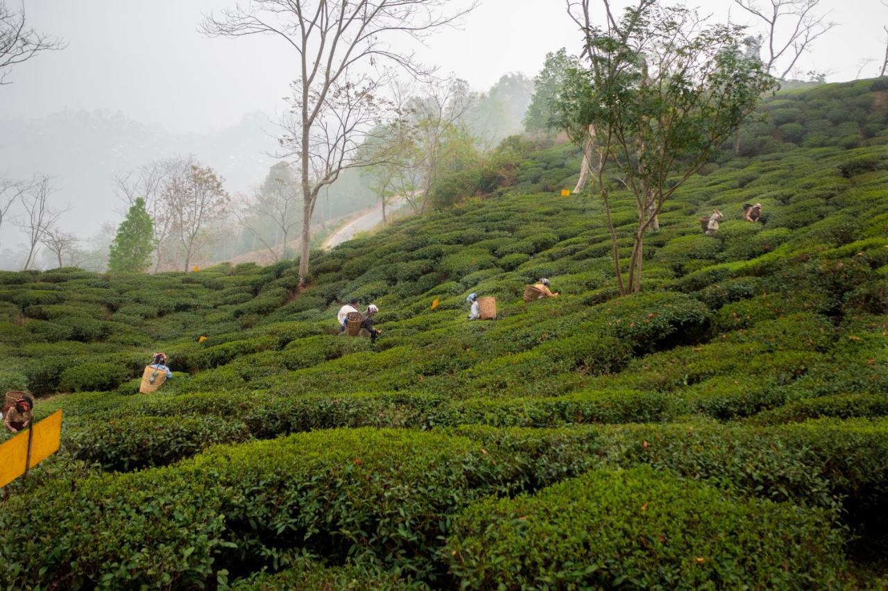 Ama Stays & Trails Puttabong Cottage, Darjeeling Dardzsiling Kültér fotó
